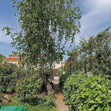 Apartment Fuer 5 Personen Ca 75 Qm In Pula, Istrien Istrische Riviera Pula